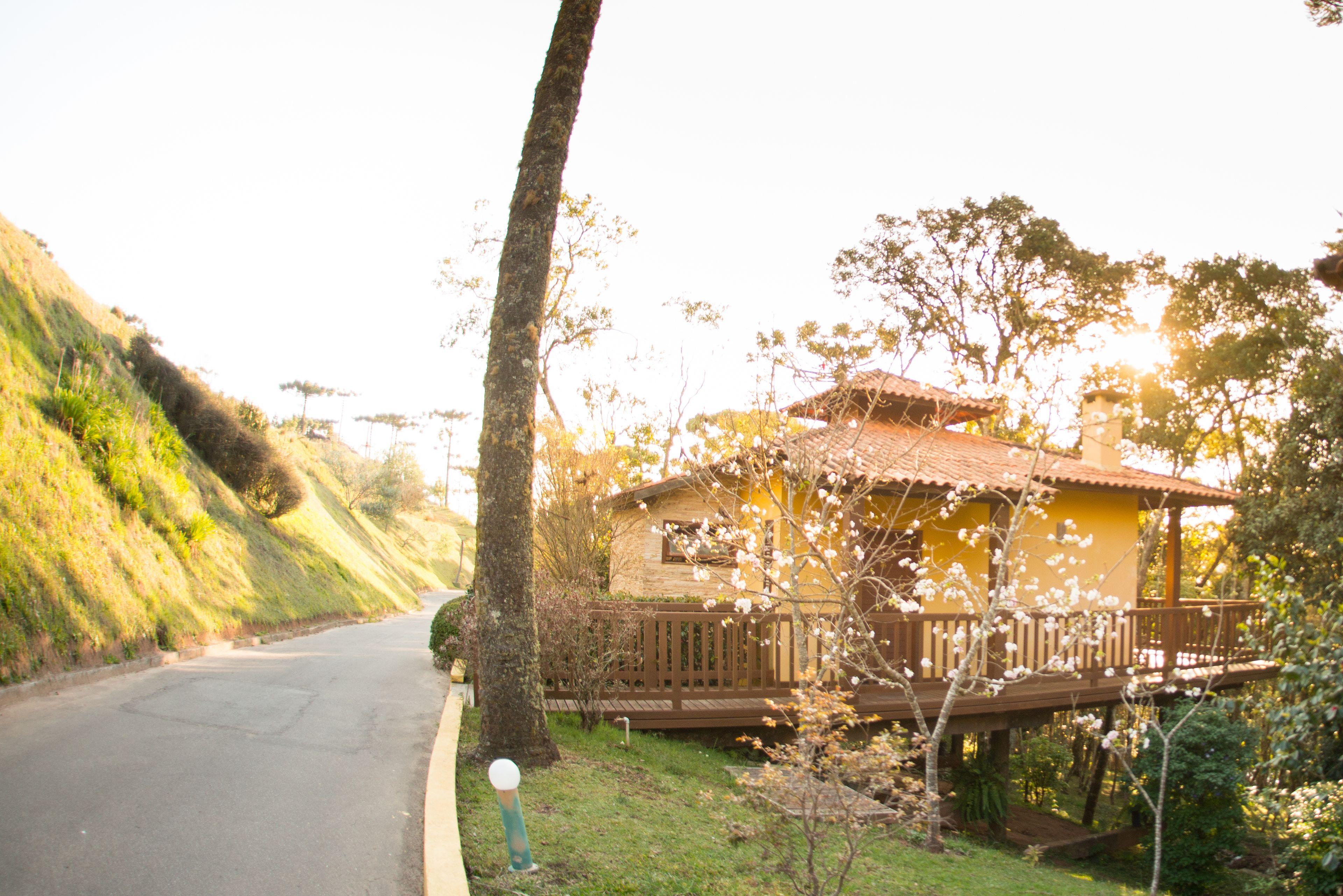 Surya-Pan Refugio Hotel - Super Pet Friendly — Fotos 2